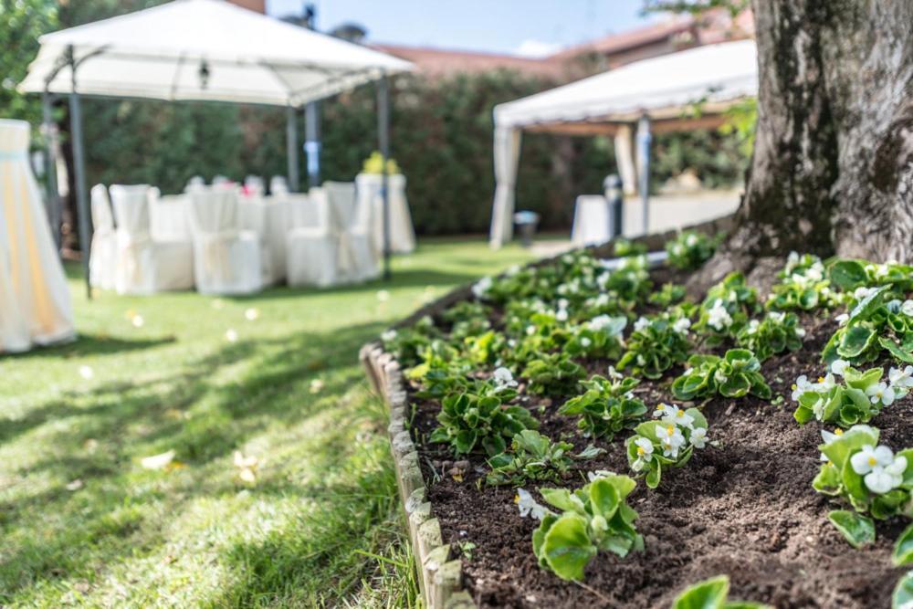 Hotel Il Vigneto Gattinara Εξωτερικό φωτογραφία